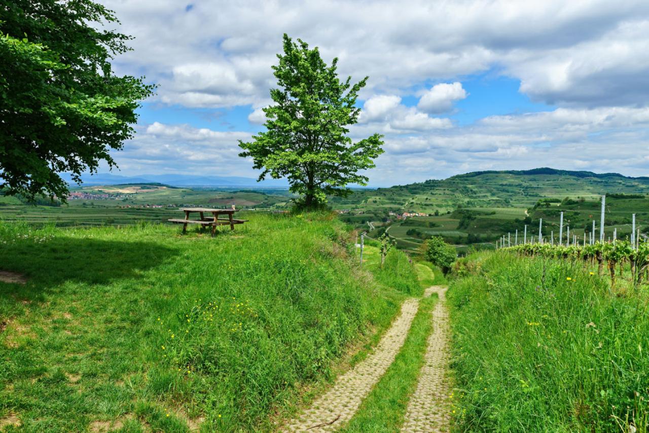 Peut-on construire ou agrandir une maison sur un terrain agricole ?